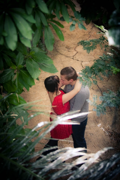 Buffalo_wedding_photographer_Portraits_buffalove_snow_buffalo zoo-10