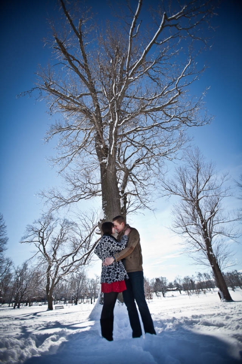 Buffalo_wedding_photographer_Portraits_buffalove_snow_buffalo zoo-24