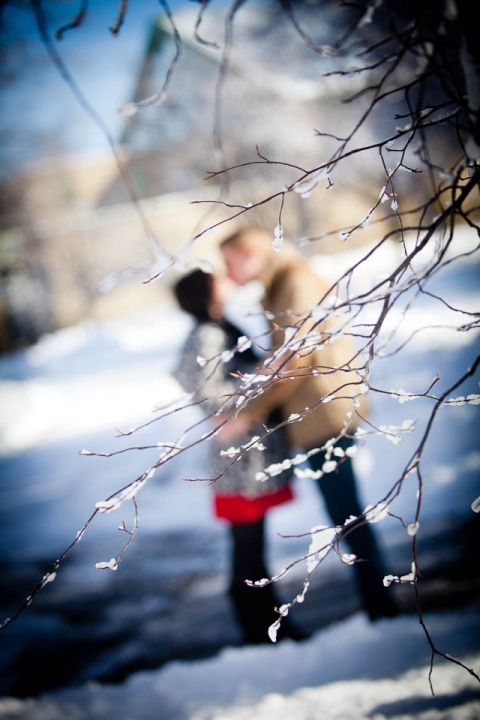 Buffalo_wedding_photographer_Portraits_buffalove_snow_buffalo zoo-5