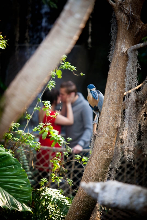 Buffalo_wedding_photographer_Portraits_buffalove_snow_buffalo zoo-8