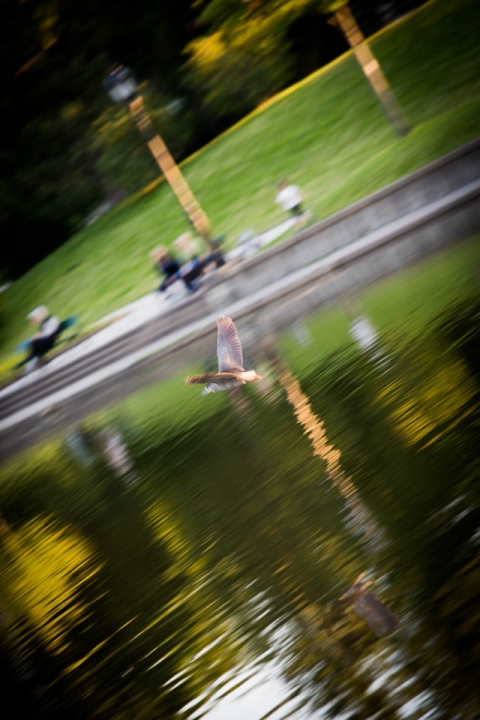 Buffalo_wedding_photographer_Portraits_fine art-28