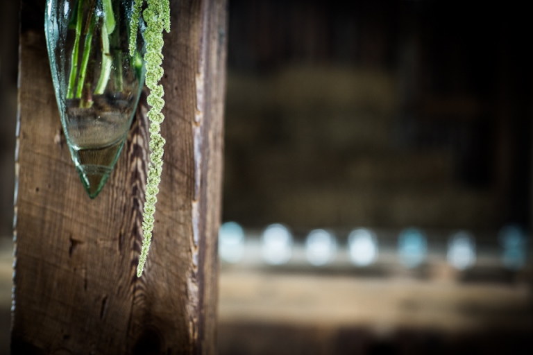 wny_wedding_photography_freedom_run_winery-2