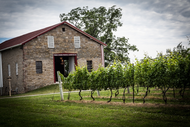 wny_wedding_photography_freedom_run_winery-27