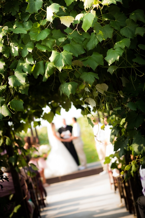 wny_wedding_photography_becker_farms-34