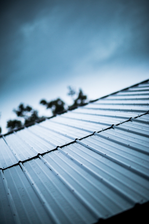 wny_wedding_photography_becker_farms-64