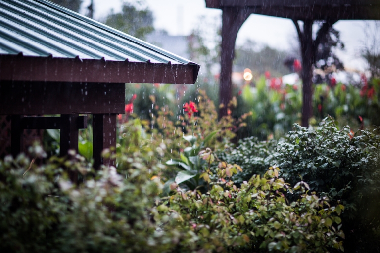wny_wedding_photography_becker_farms-65