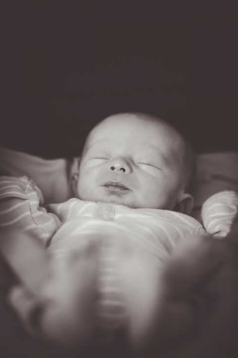 Baby portraits buffalo ny_5