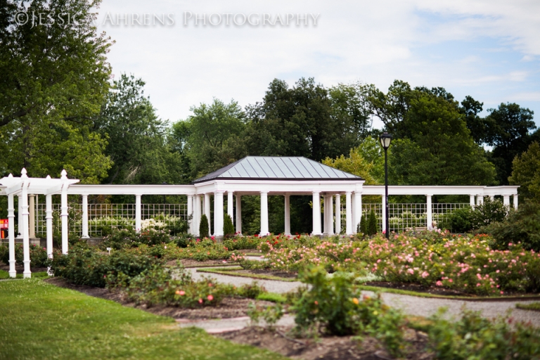 Rose Garden Wedding Photos Delaware Park | Jessica Ahrens Photography