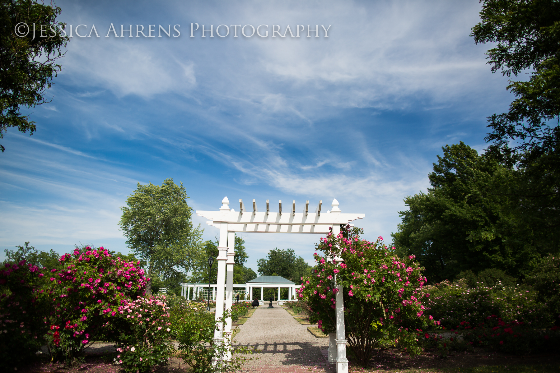 Marcy Casino & Rose Garden Wedding Photography Buffalo, NY Jessica Ahrens Photography