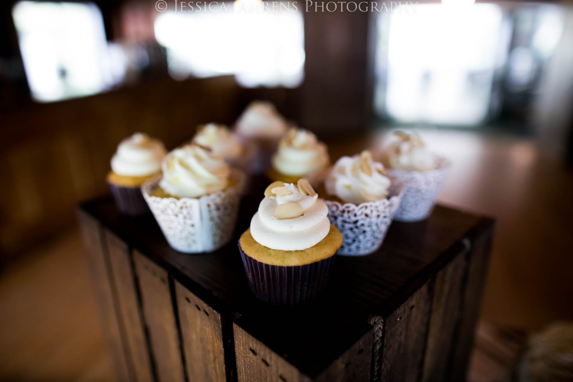 O'Brien's Sleepy Hollow Wedding Photography East Aurora, NY Jessica