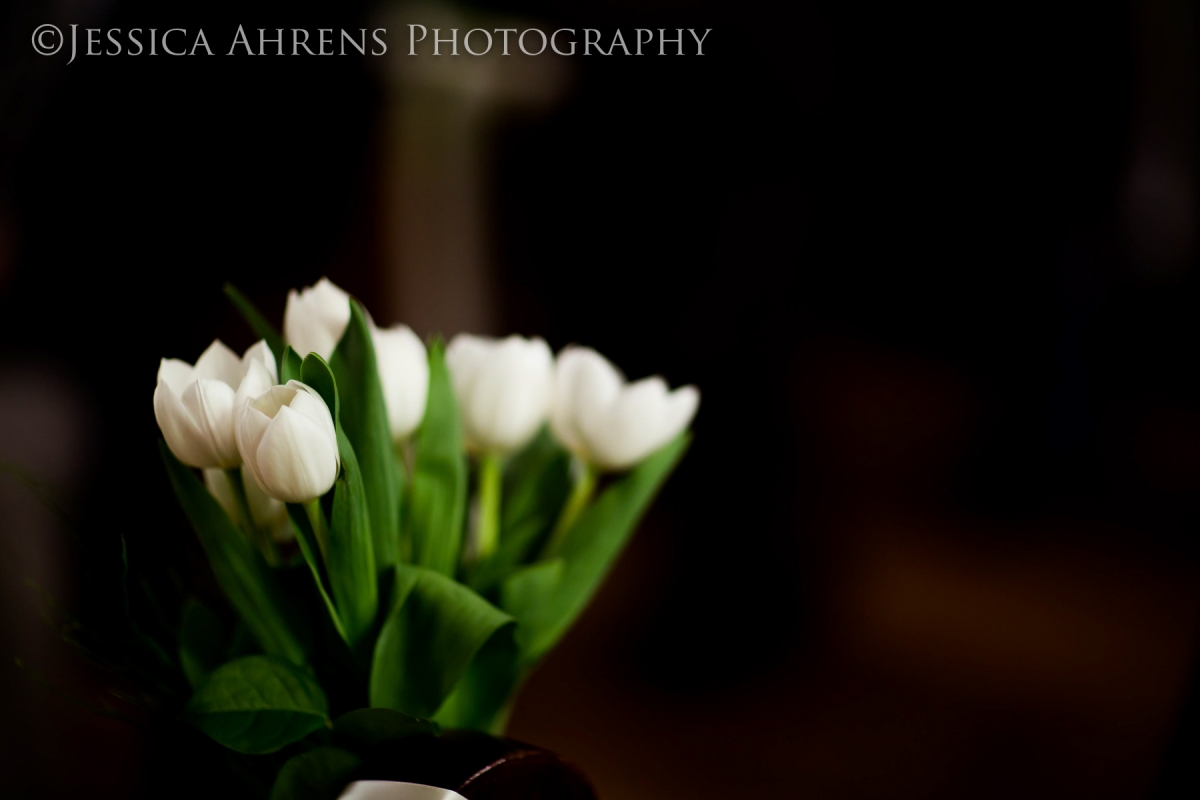 The Meeting House Wedding Venue Village of Williamsville Jessica